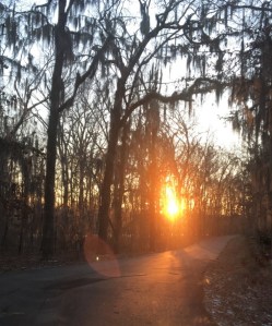 IMG_7485 after shower manual