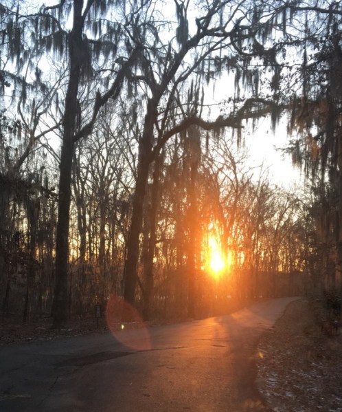 IMG_7485 after shower manual