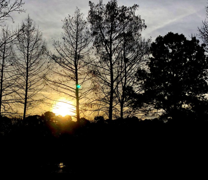 IMG_0317 FOR BLOG.JPG